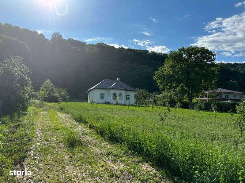 2caselocuibile,30.000 m2 curte 7000 Ingraditi 46ml la drumul principal - Imagine principală: 5/8