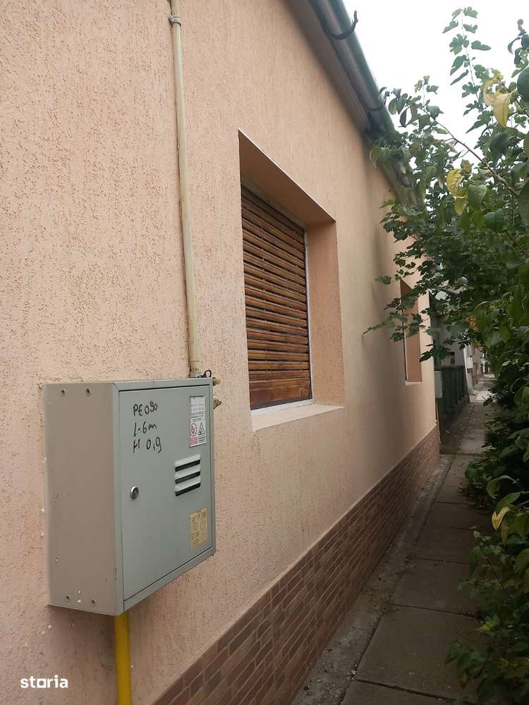 Casa de vanzare in Chisineu - Cris-1