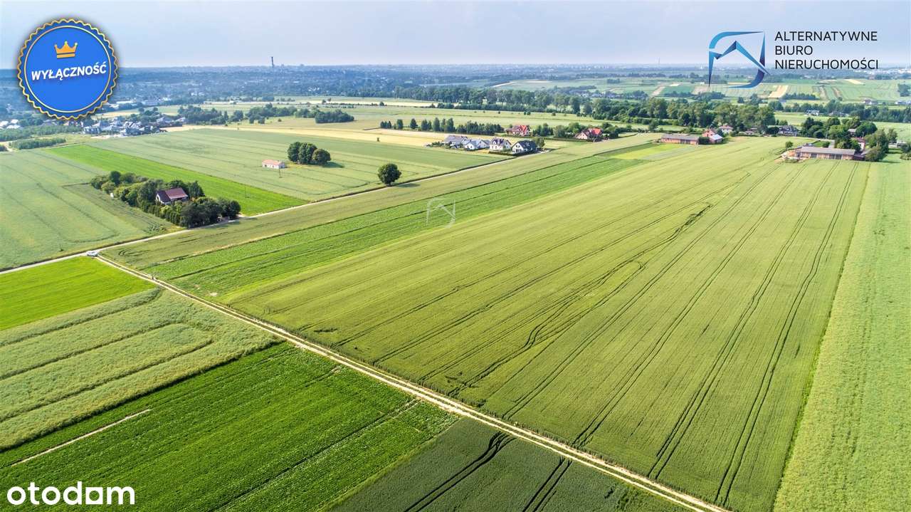Działka budowlana w Wilczopolu - 7742 m2 - Pełny obrazek: 4/8