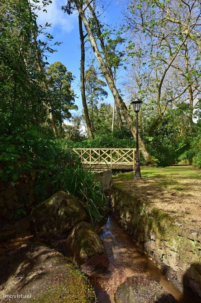 Quinta com área total de terreno 7.650m2 - Grande imagem: 4/46