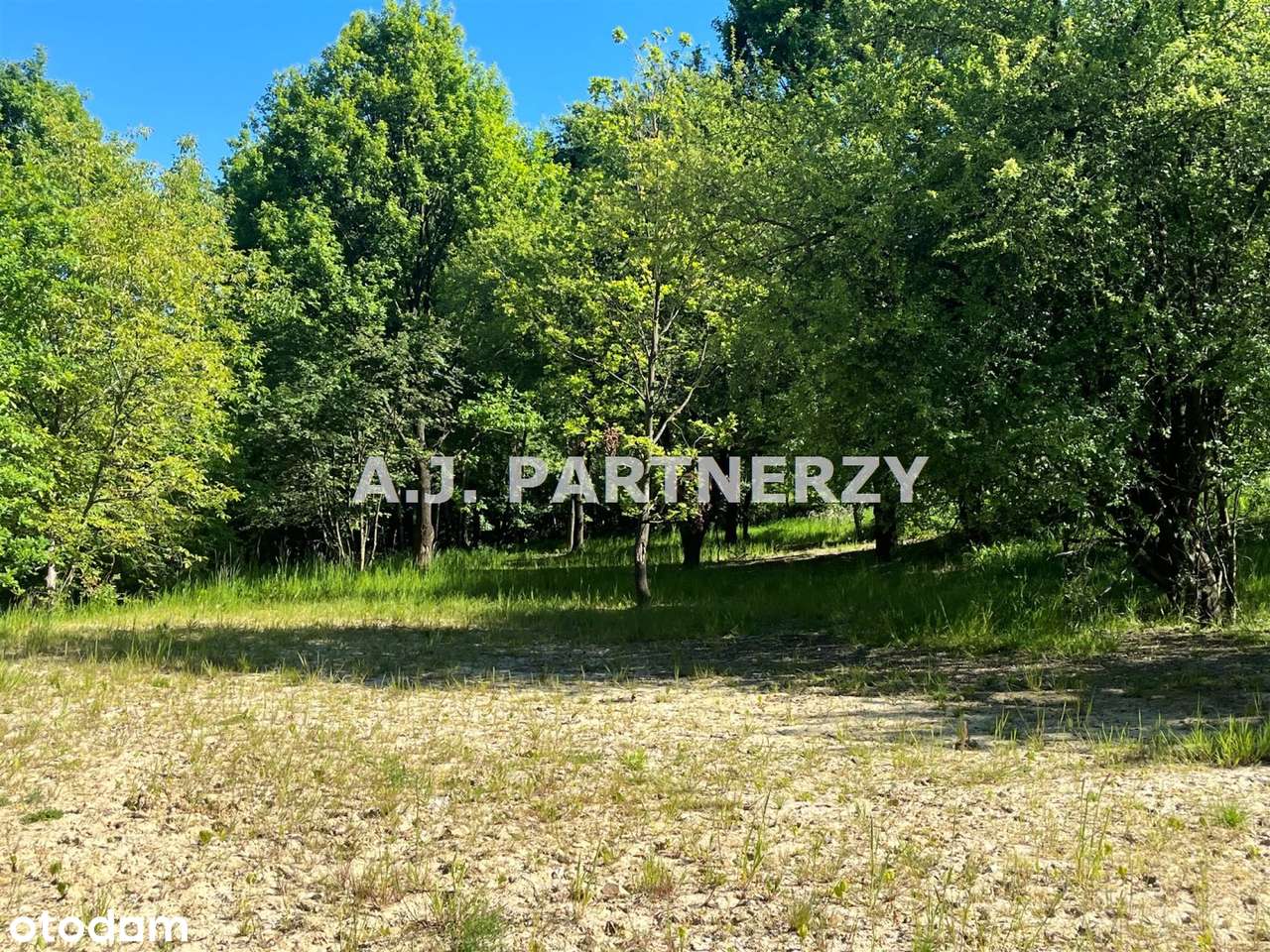 Działka widokowa w Lednicy k.Wieliczki - Pełny obrazek: 4/6