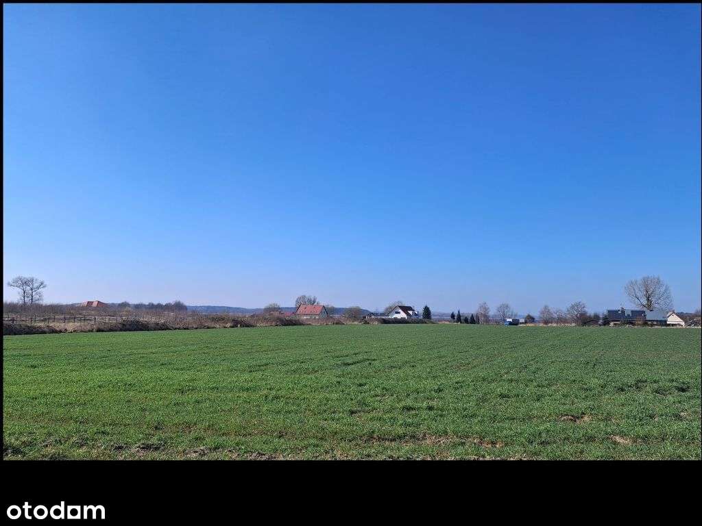 Działka Wśród Ciszy, Zieleni I Wody – 1,96 ha-4