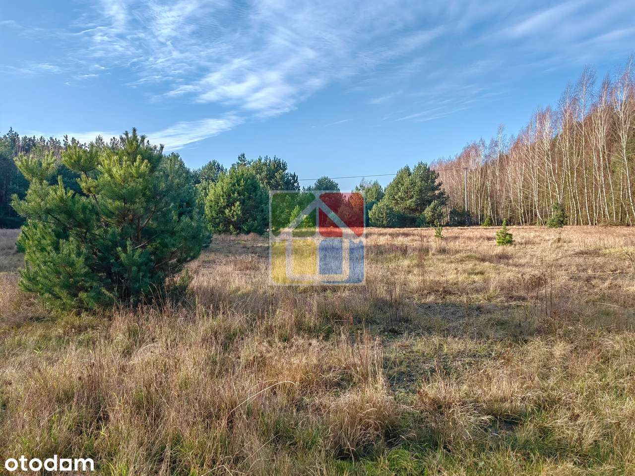 Duża działka 3002 m² przy lesie, 100 m od rzeczki-4