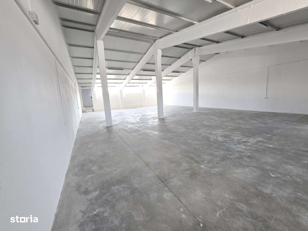 DE INCHIRIAT HALĂ PROFESIONALĂ  TOMEȘTI 165 MP  600 EURO (tva inclus) - Imagine principală: 1/6