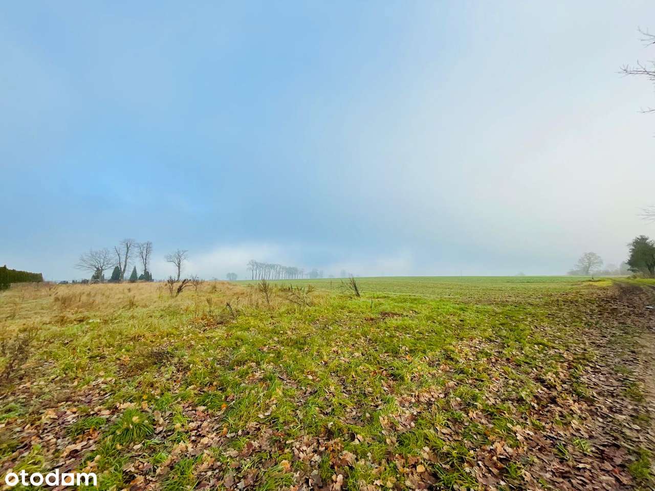 Działka budowlana 919 m2 z WZ, gm. Skąpe - Pełny obrazek: 5/7
