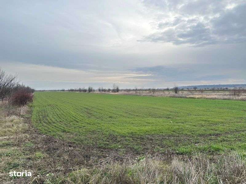 Loturi Teren GULIA Dambovita / 6 Loturi / 545mp - Imagine principală: 5/8