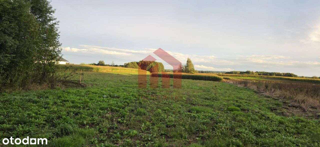 Działki z mediami 2km od Ropczyc Media 2 ostatnie - Pełny obrazek: 4/20