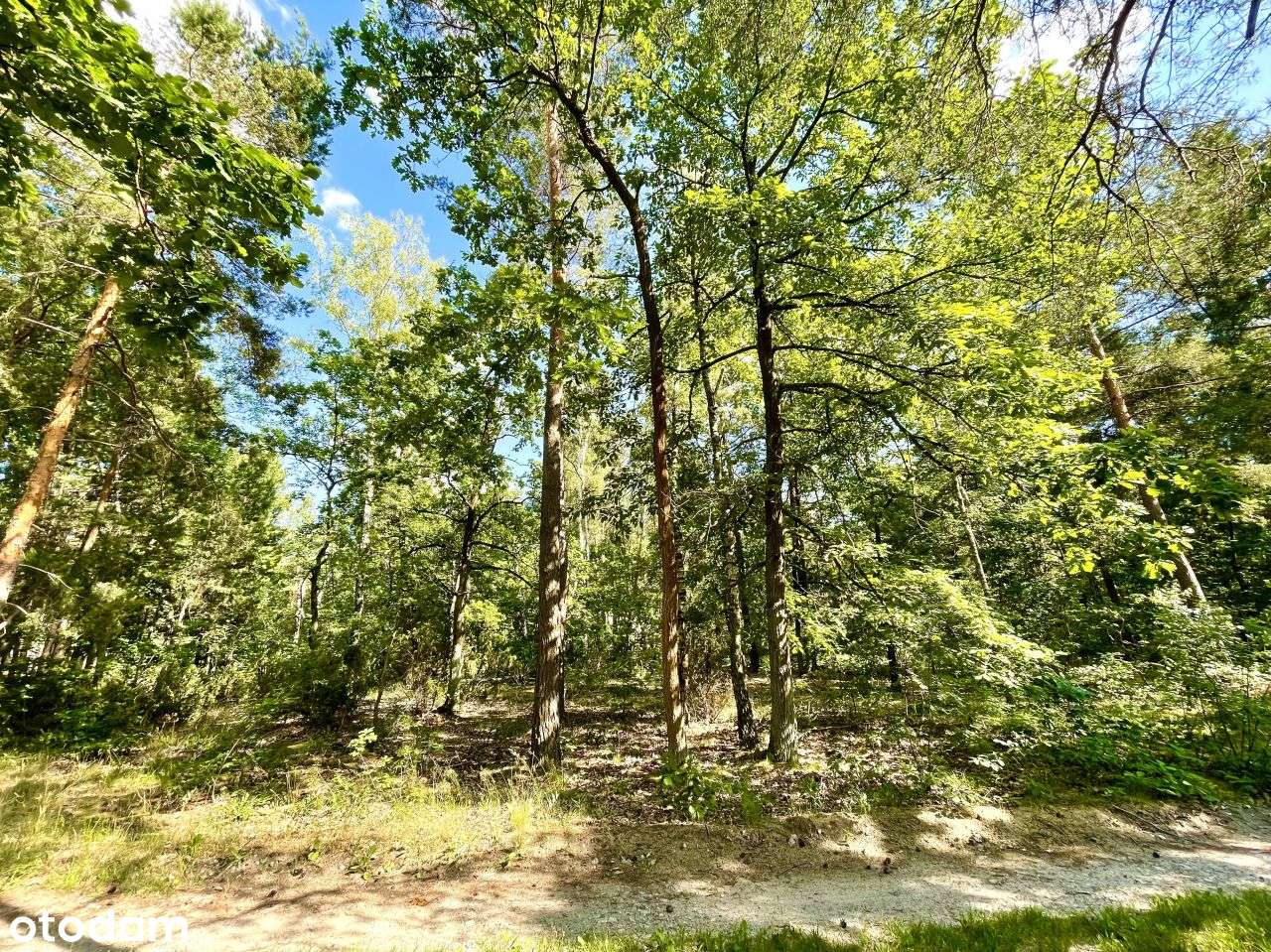 Działka Izabelin B - 2213 m2, narożna - Pełny obrazek: 2/4