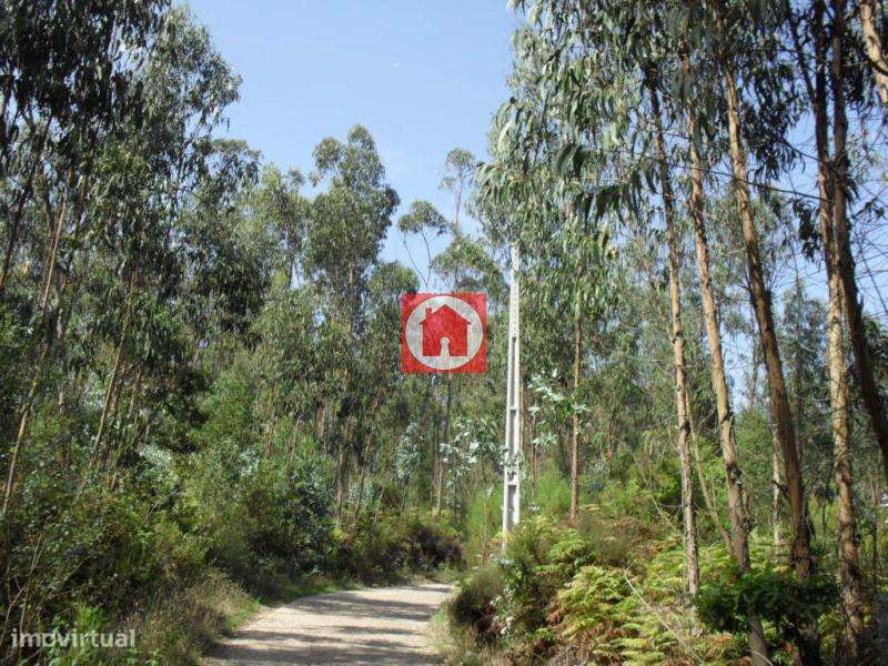 Terreno de 30.500m2 com 2 artigos em Rates - Grande imagem: 5/9