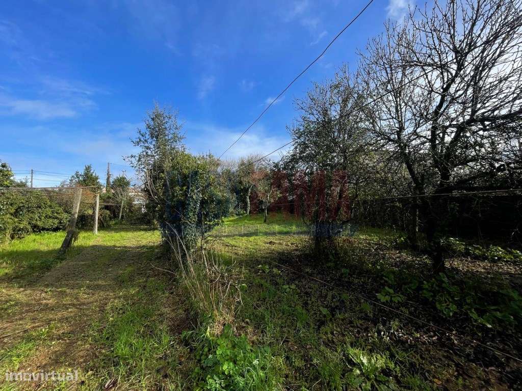 Terreno para Construção - São Pedro de Rates-0