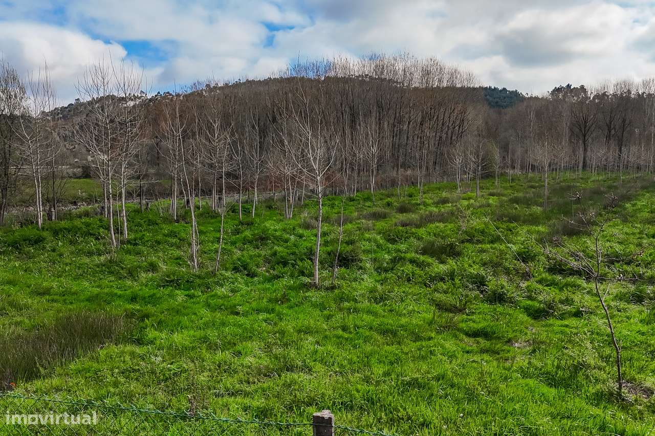 Terreno Rústico  Venda em Associação de freguesias do Vale do Neiva,Po-15