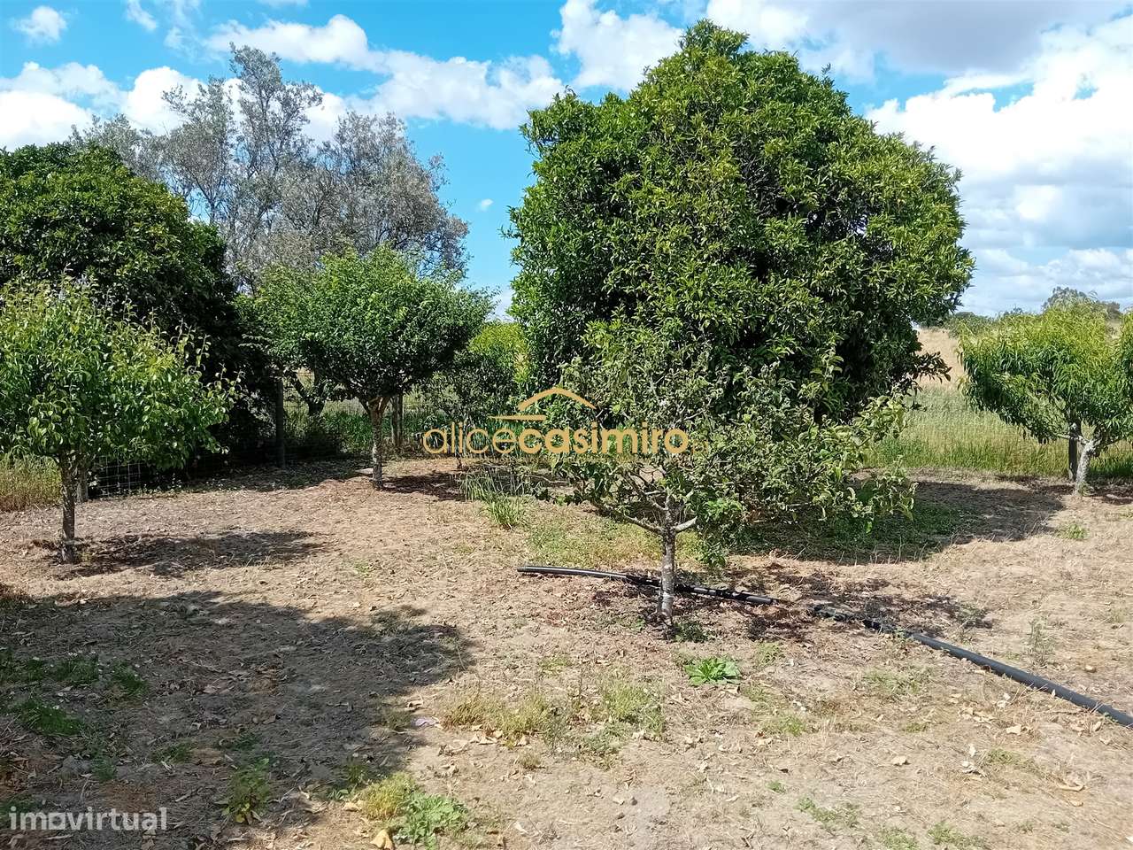 Moradia T3 Venda em Biscainho,Coruche-30