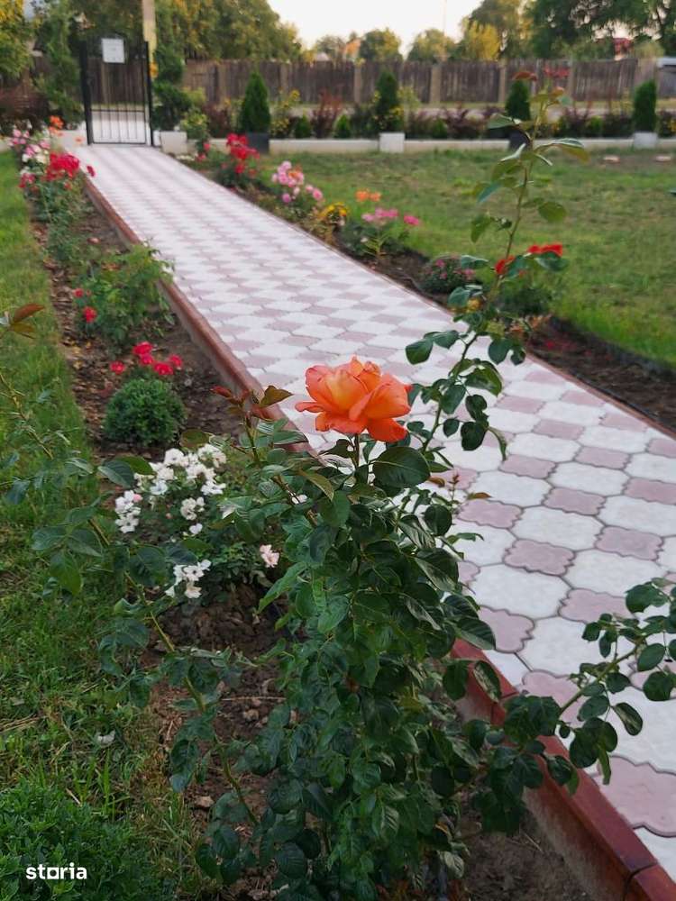 Vând vila moderna Cotu Vames - Imagine principală: 2/19