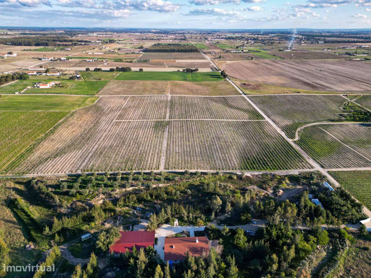 Sto. Isidro de Pegões, Palmela - Prédio Rústico com 60200 m2 com plant - Grande imagem: 5/10