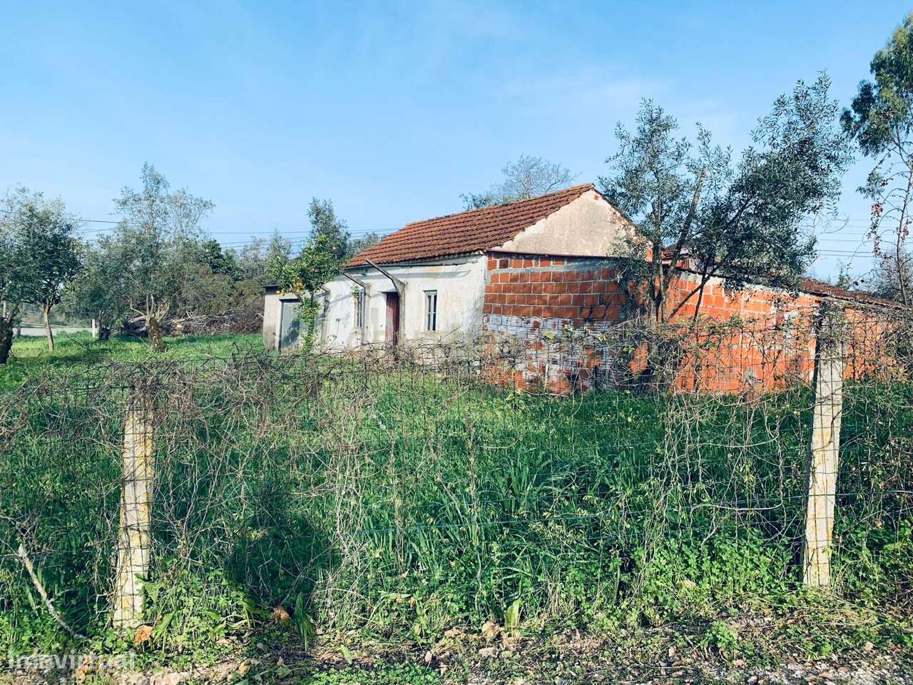 MoradiaT2  para restaurar em Pombal - Grande imagem: 5/34