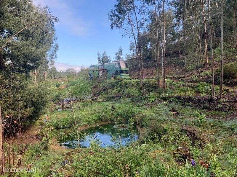 Bonito terreno a 5km do Mar (Caminha). - Grande imagem: 5/5