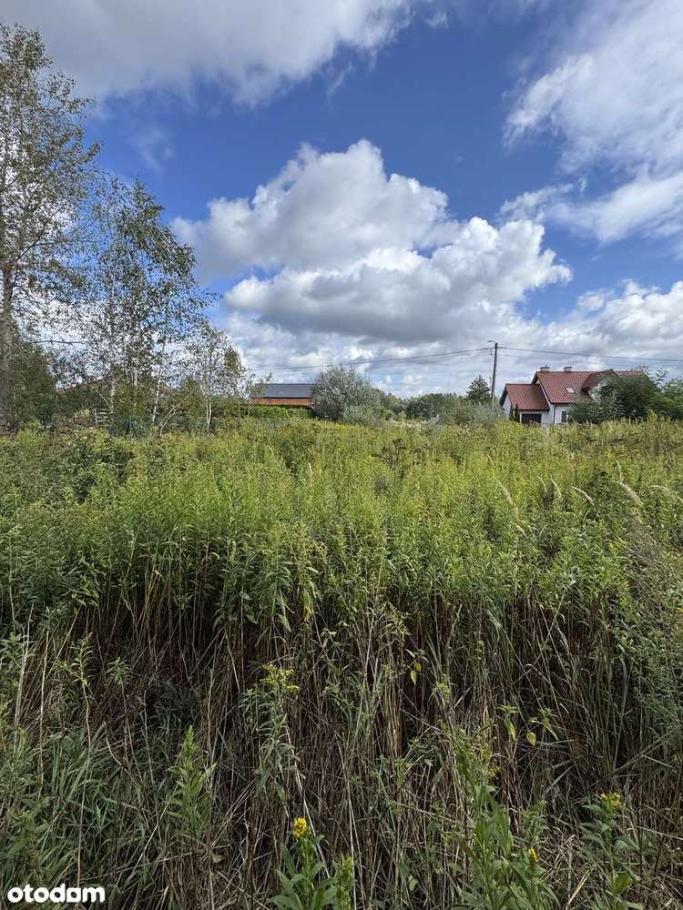 Działka budowlana z pozwoleniem na budowę, Izabelin-Dziekównek - Pełny obrazek: 4/9
