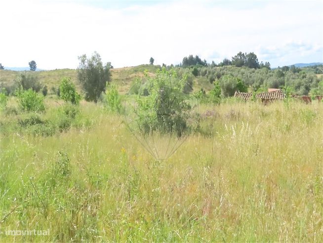 Quinta  para venda-21