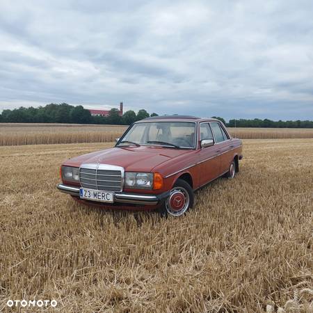 Mercedes-Benz W123 - 13