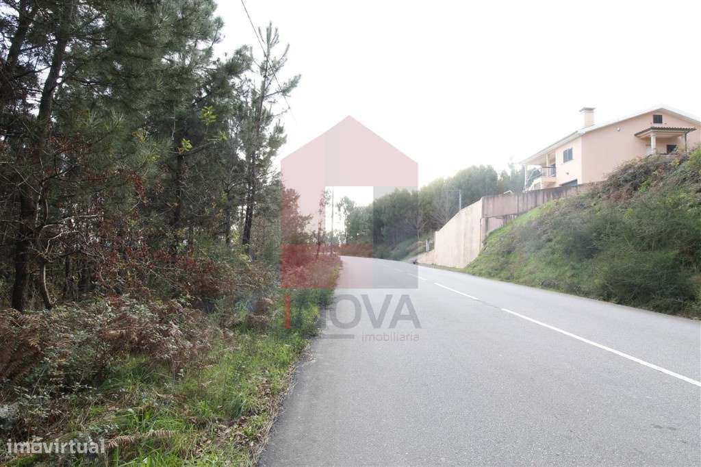 Terreno agrícola, Ponte - Grande imagem: 5/11