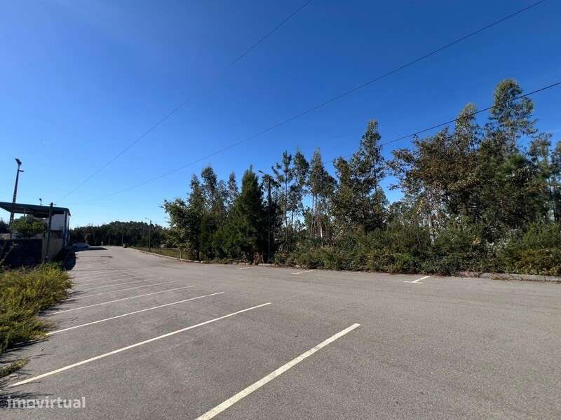 Terreno Pinheiro da Bemposta - Grande imagem: 1/18