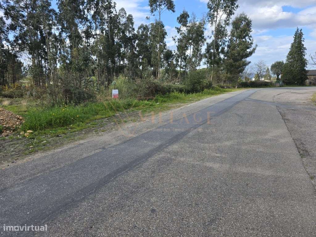 Terreno-6