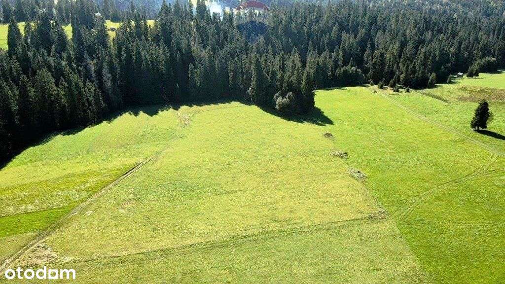 Działka W Rzepiskach Z Widokiem Na Tatry - Pełny obrazek: 4/14