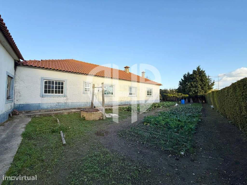 Moradia T3 + Área Terreno 4.150m2 + Atracadouro // P/Recuperar-30