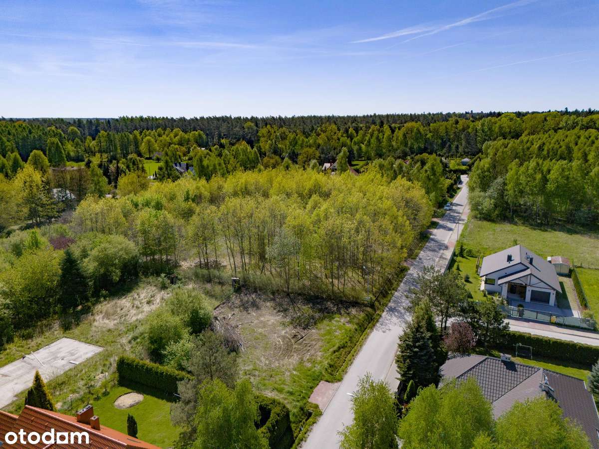 Będziesz w raju ! Piękne Miejsce - Pełny obrazek: 4/7