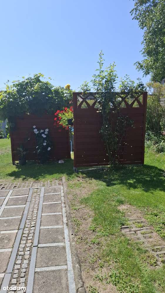 Połowa domu z ogródkiem - Pełny obrazek: 5/20