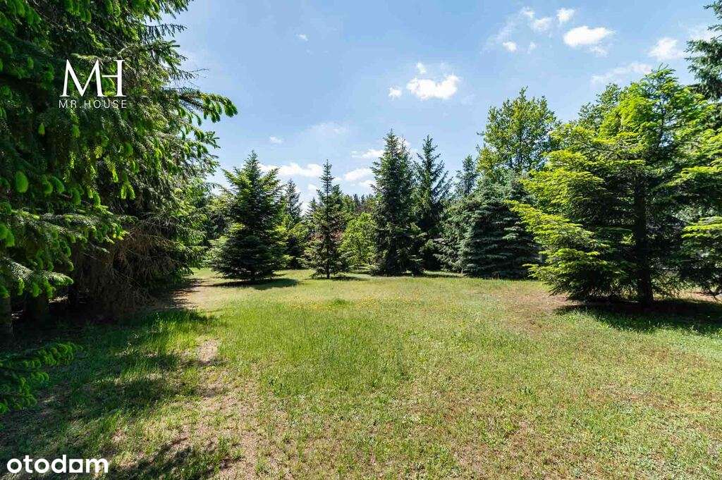 Dom parterowy na dużej działce | ZŁOTNO-15