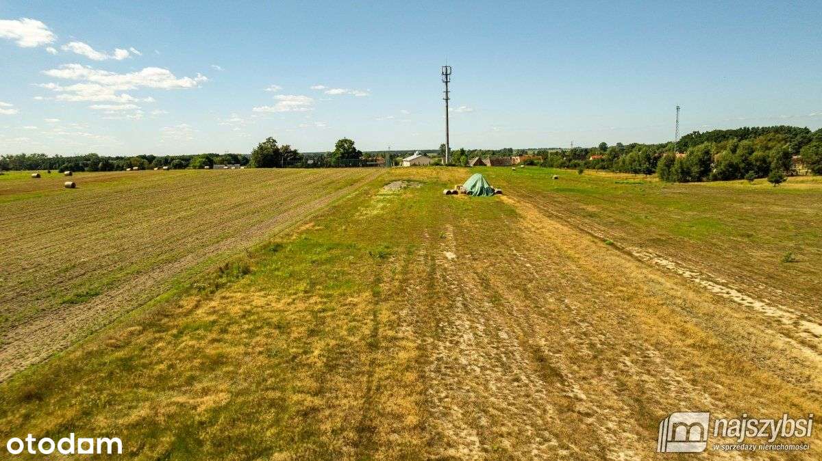 Racimierz- działka w pobliżu lasu. - Pełny obrazek: 5/20
