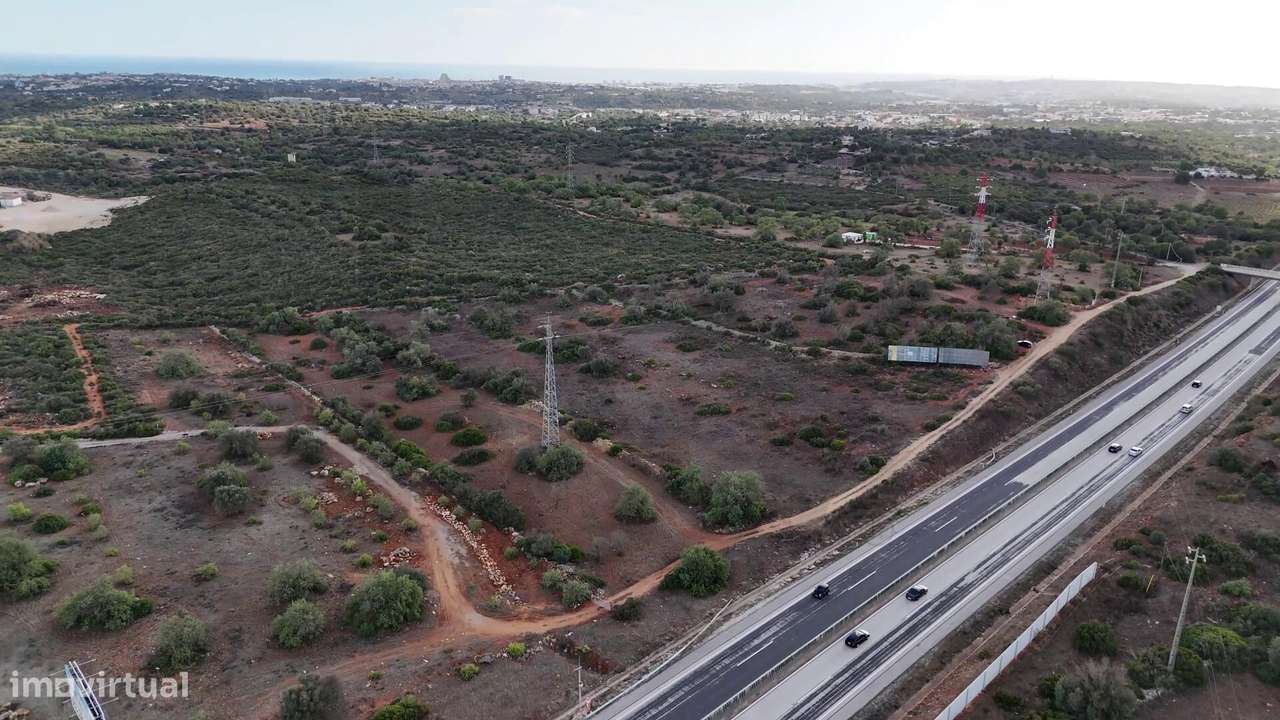 Terreno rústico  com 13.840 m2, situado junto à A22, com rendimento e - Grande imagem: 4/16