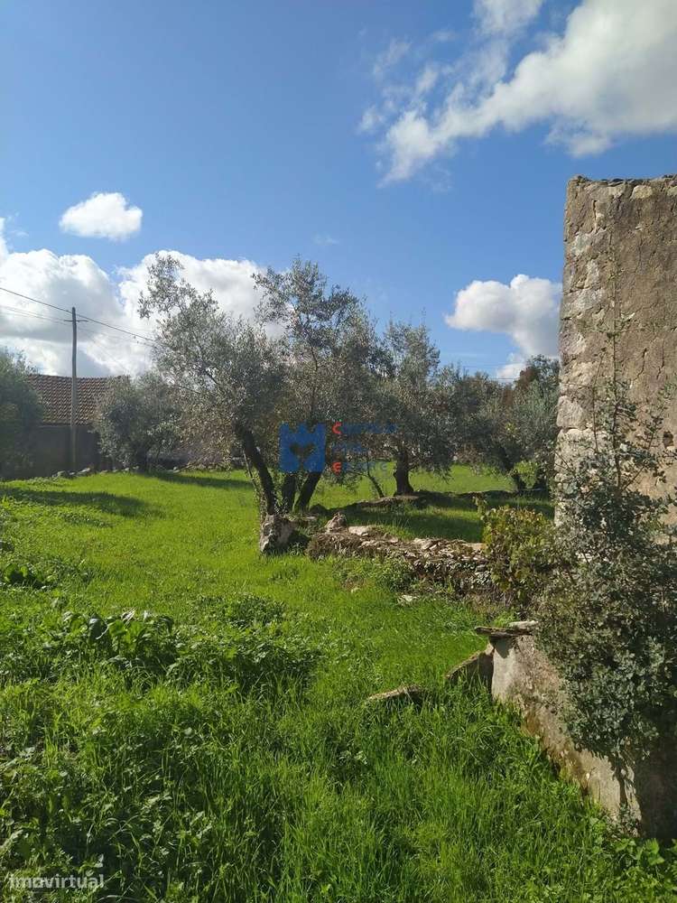 Moradia em ruina com terreno em Maxieira-8