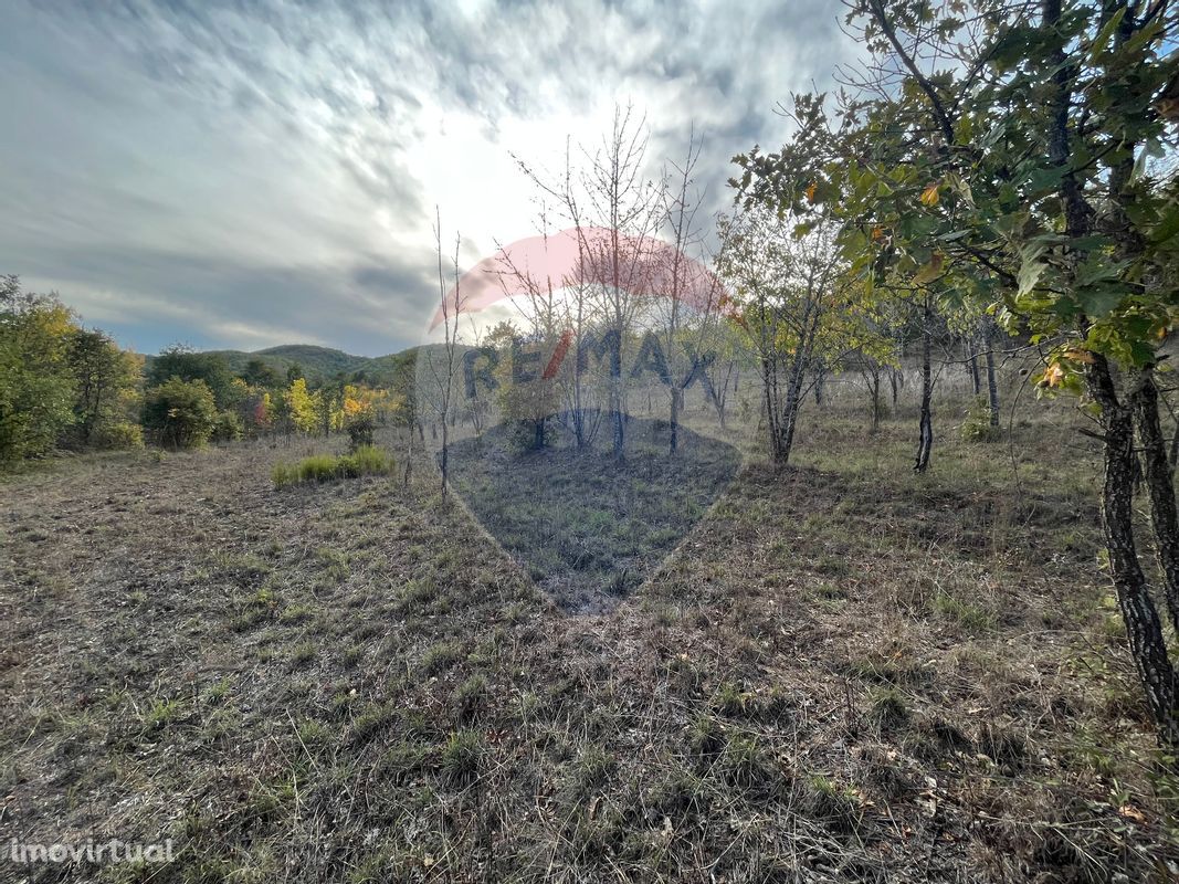 Terreno  para venda