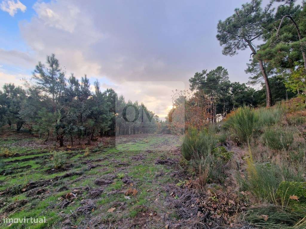 Terreno de 6.750 m2 em Adoufe, Vila Real - Grande imagem: 5/15