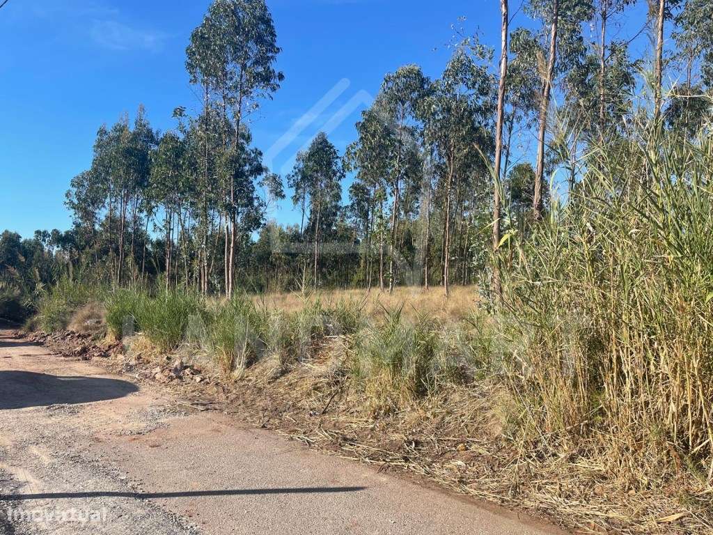 Terreno para construção, Valado dos frades-0