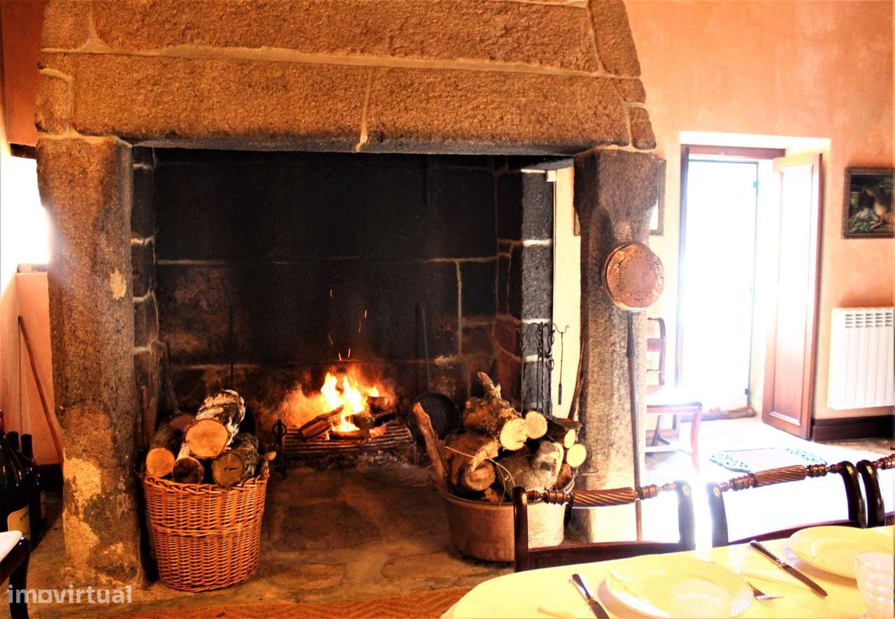 Solar do sec. XVII em Mesquitela, Mangualde-17