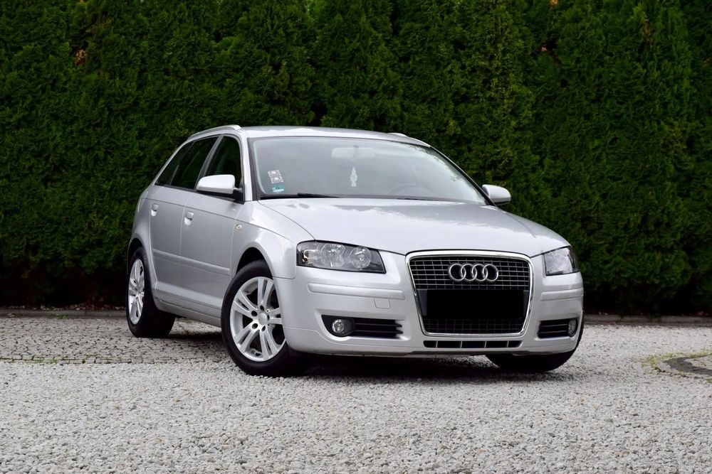 Audi A3 8P 1.9 TDI DPF Ambition 2008