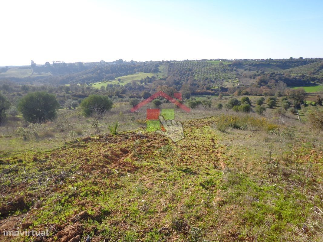 Terreno  Venda em Brogueira, Parceiros de Igreja e Alcorochel,Torres N