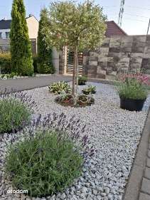 Dom gotowy do wprowadzenia!-15