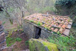 Duas casas de pedra para restaurar em aldeia de xisto. Junto de café e - Grande imagem: 4/12