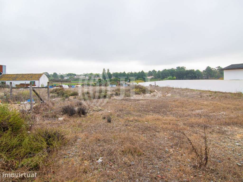 Terreno para construção, no Possanco, Comporta - Grande imagem: 5/14