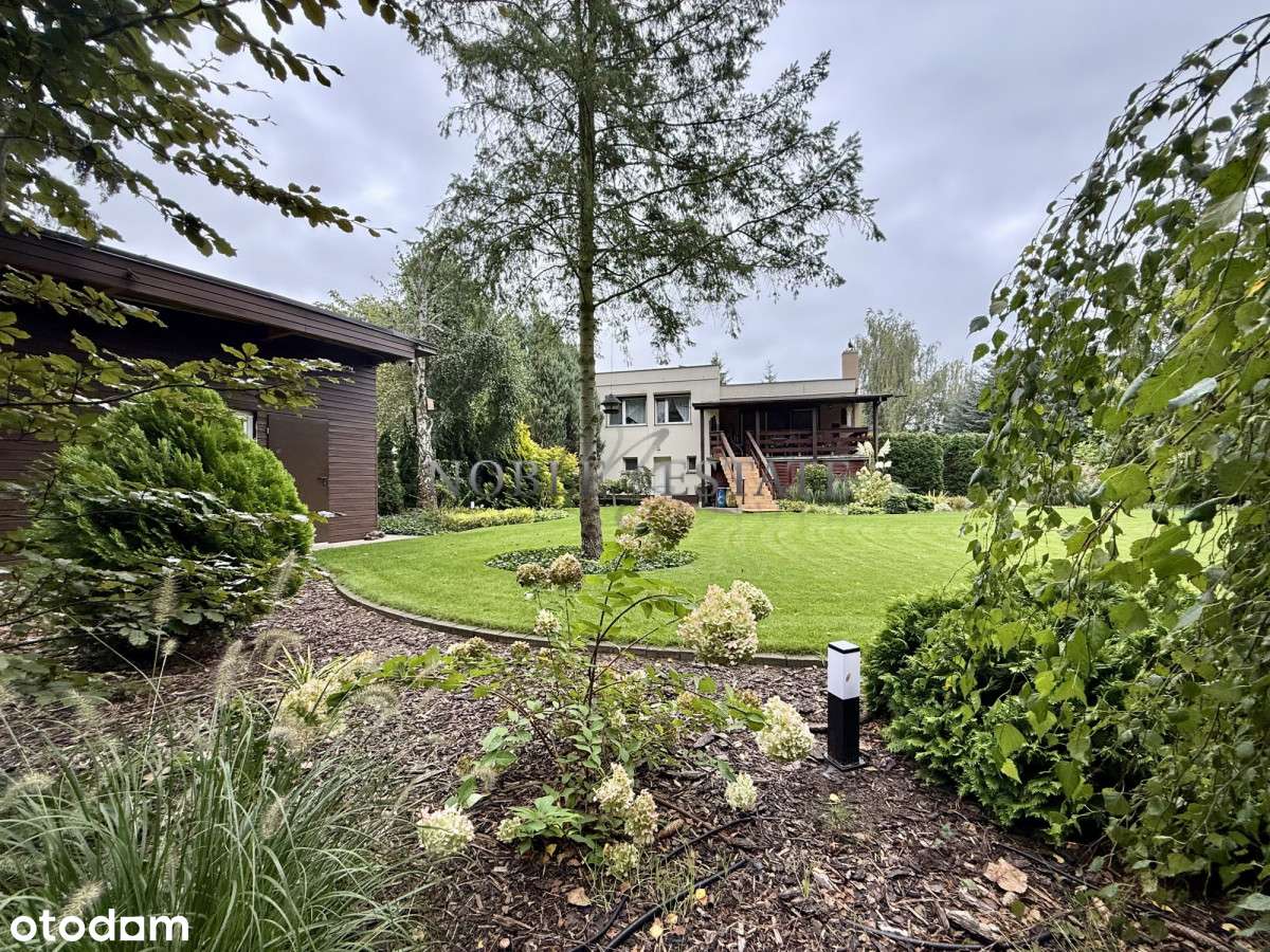 Cudowny ogród pod ścianą lasu-12