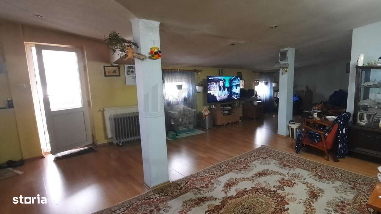 Vila 3 Camere Curte 100 mp de Vanzare Andronache Sector 2