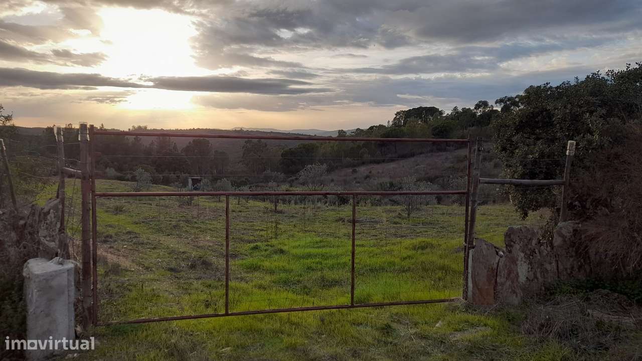 Moradia em Banda T4 Venda em Castelo Branco,Castelo Branco - Grande imagem: 2/42