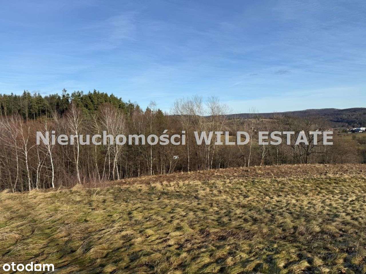 Działka, 3 402 m², Berezka-2