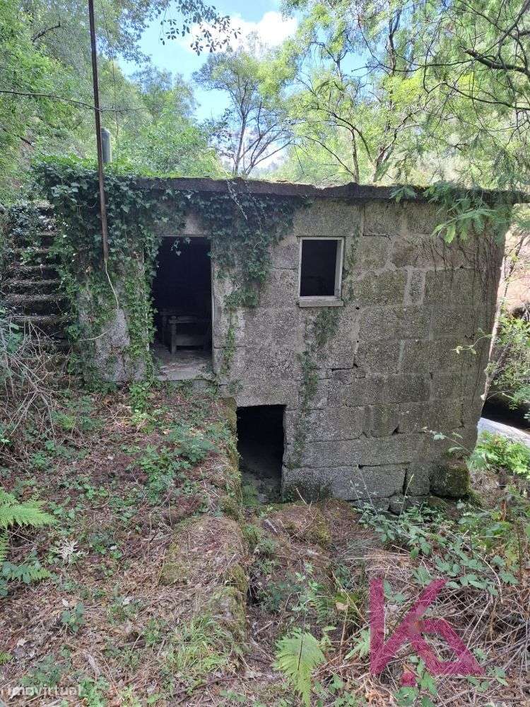 Quinta em Amarante para recuperação - Grande imagem: 2/20