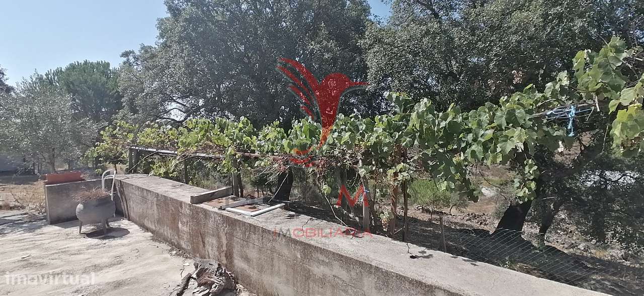 Quinta Agrícola na Urra - Portalegre - Grande imagem: 2/39