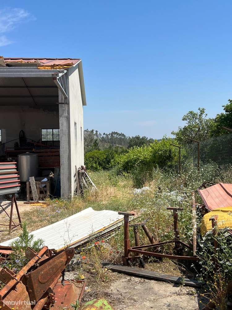 Imóvel com Diversas Possibilidades de Desenvolvimento em Alburitel-25
